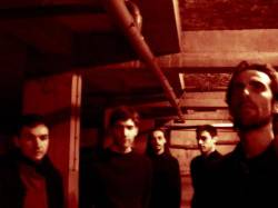 interview Manimal (FRA)